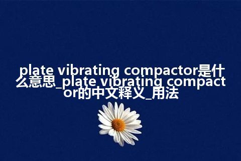 plate vibrating compactor是什么意思_plate vibrating compactor的中文释义_用法