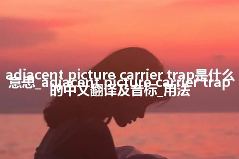 adjacent picture carrier trap是什么意思_adjacent picture carrier trap的中文翻译及音标_用法