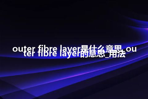 outer fibre layer是什么意思_outer fibre layer的意思_用法
