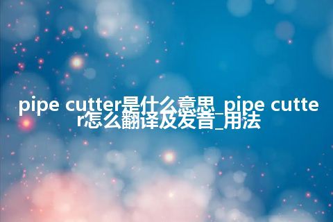 pipe cutter是什么意思_pipe cutter怎么翻译及发音_用法