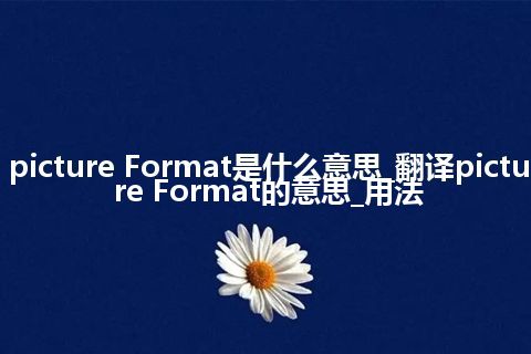 picture Format是什么意思_翻译picture Format的意思_用法