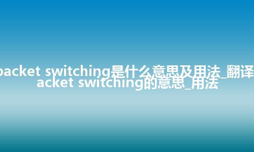 packet switching是什么意思及用法_翻译packet switching的意思_用法
