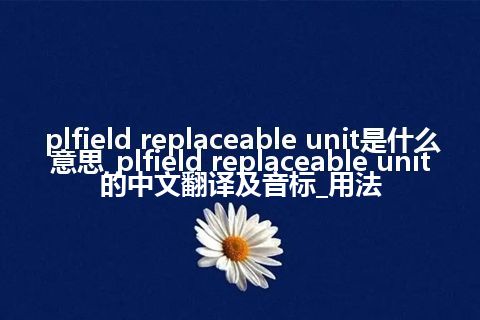 plfield replaceable unit是什么意思_plfield replaceable unit的中文翻译及音标_用法