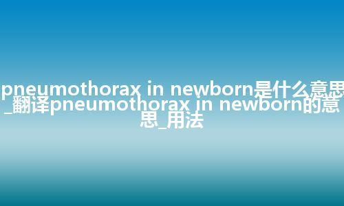 pneumothorax in newborn是什么意思_翻译pneumothorax in newborn的意思_用法