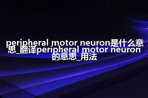 peripheral motor neuron是什么意思_翻译peripheral motor neuron的意思_用法