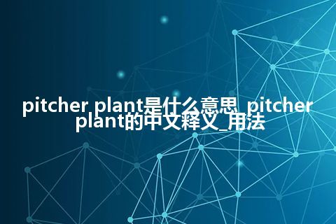 pitcher plant是什么意思_pitcher plant的中文释义_用法