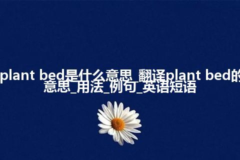 plant bed是什么意思_翻译plant bed的意思_用法_例句_英语短语