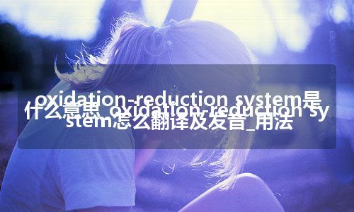 oxidation-reduction system是什么意思_oxidation-reduction system怎么翻译及发音_用法
