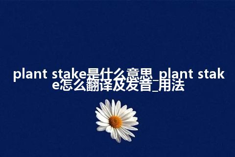 plant stake是什么意思_plant stake怎么翻译及发音_用法