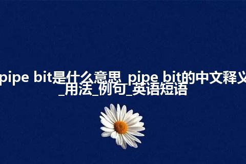 pipe bit是什么意思_pipe bit的中文释义_用法_例句_英语短语