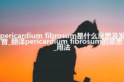 pericardium fibrosum是什么意思及发音_翻译pericardium fibrosum的意思_用法