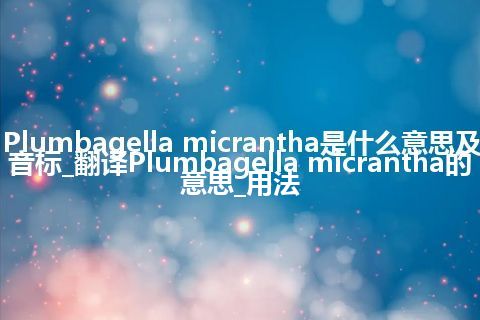 Plumbagella micrantha是什么意思及音标_翻译Plumbagella micrantha的意思_用法