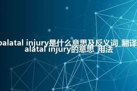 palatal injury是什么意思及反义词_翻译palatal injury的意思_用法
