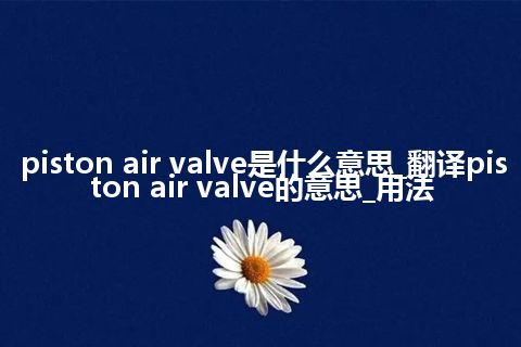 piston air valve是什么意思_翻译piston air valve的意思_用法