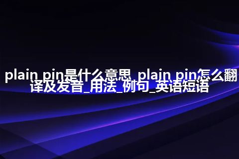 plain pin是什么意思_plain pin怎么翻译及发音_用法_例句_英语短语
