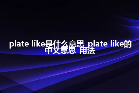 plate like是什么意思_plate like的中文意思_用法