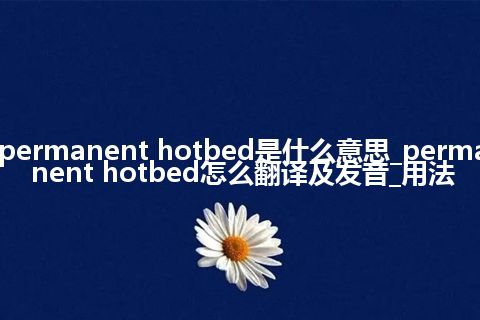 permanent hotbed是什么意思_permanent hotbed怎么翻译及发音_用法