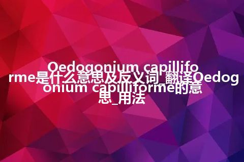 Oedogonium capilliforme是什么意思及反义词_翻译Oedogonium capilliforme的意思_用法
