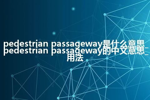 pedestrian passageway是什么意思_pedestrian passageway的中文意思_用法
