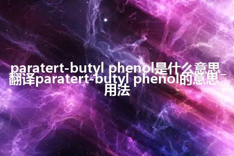 paratert-butyl phenol是什么意思_翻译paratert-butyl phenol的意思_用法