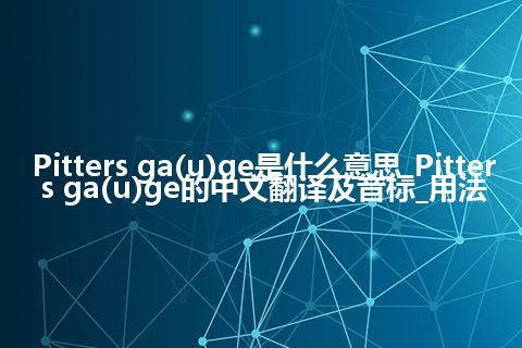 Pitters ga(u)ge是什么意思_Pitters ga(u)ge的中文翻译及音标_用法