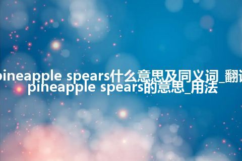 pineapple spears什么意思及同义词_翻译pineapple spears的意思_用法