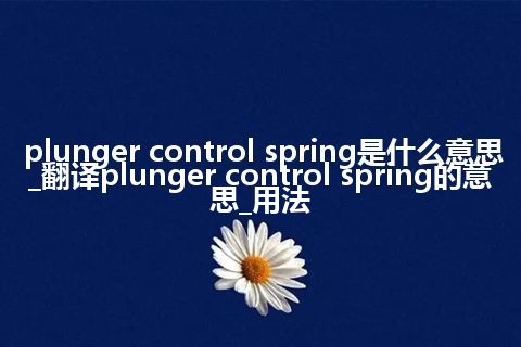 plunger control spring是什么意思_翻译plunger control spring的意思_用法