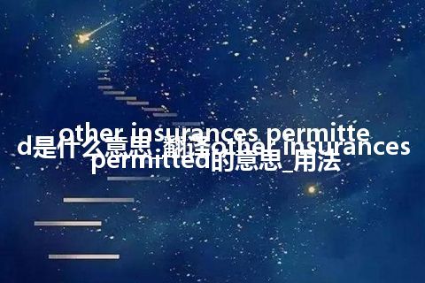 other insurances permitted是什么意思_翻译other insurances permitted的意思_用法