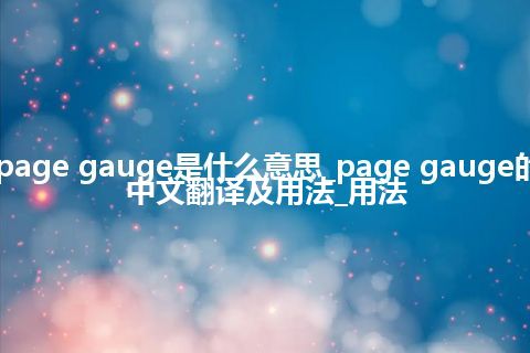 page gauge是什么意思_page gauge的中文翻译及用法_用法