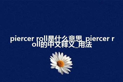 piercer roll是什么意思_piercer roll的中文释义_用法