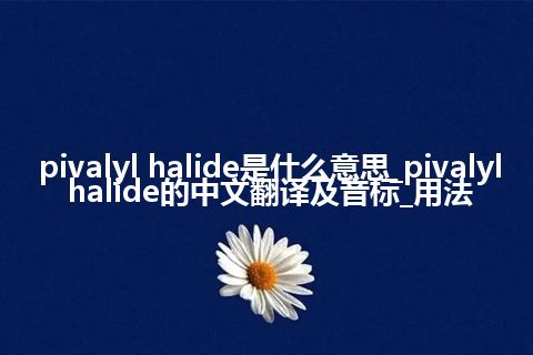 pivalyl halide是什么意思_pivalyl halide的中文翻译及音标_用法