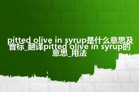 pitted olive in syrup是什么意思及音标_翻译pitted olive in syrup的意思_用法