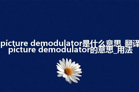 picture demodulator是什么意思_翻译picture demodulator的意思_用法