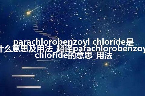 parachlorobenzoyl chloride是什么意思及用法_翻译parachlorobenzoyl chloride的意思_用法