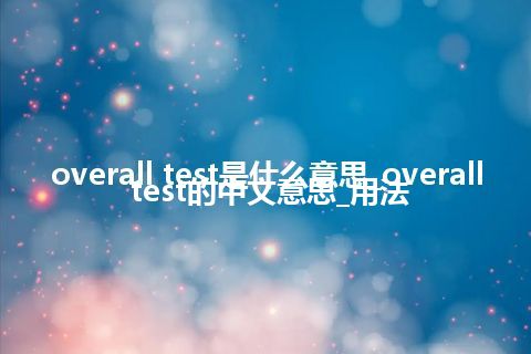 overall test是什么意思_overall test的中文意思_用法