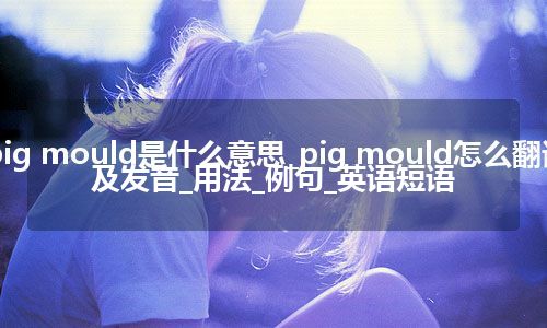 pig mould是什么意思_pig mould怎么翻译及发音_用法_例句_英语短语