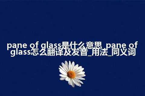 pane of glass是什么意思_pane of glass怎么翻译及发音_用法_同义词