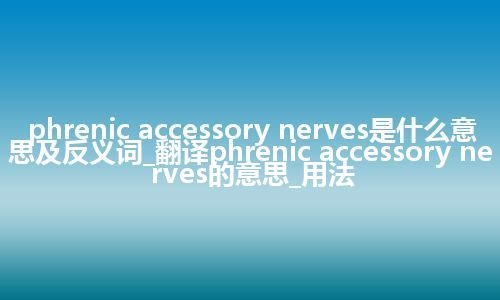 phrenic accessory nerves是什么意思及反义词_翻译phrenic accessory nerves的意思_用法
