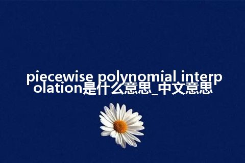 piecewise polynomial interpolation是什么意思_中文意思