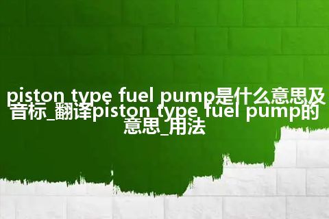 piston type fuel pump是什么意思及音标_翻译piston type fuel pump的意思_用法