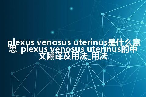 plexus venosus uterinus是什么意思_plexus venosus uterinus的中文翻译及用法_用法
