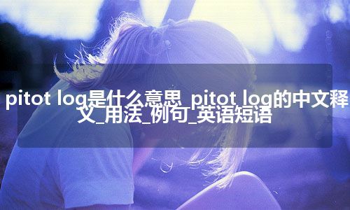 pitot log是什么意思_pitot log的中文释义_用法_例句_英语短语