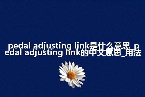 pedal adjusting link是什么意思_pedal adjusting link的中文意思_用法
