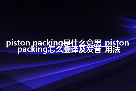 piston packing是什么意思_piston packing怎么翻译及发音_用法