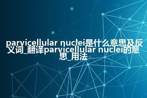parvicellular nuclei是什么意思及反义词_翻译parvicellular nuclei的意思_用法