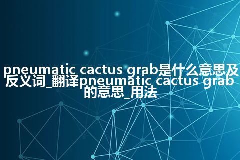 pneumatic cactus grab是什么意思及反义词_翻译pneumatic cactus grab的意思_用法