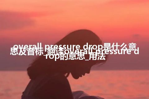 overall pressure drop是什么意思及音标_翻译overall pressure drop的意思_用法