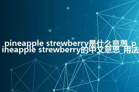 pineapple strewberry是什么意思_pineapple strewberry的中文意思_用法