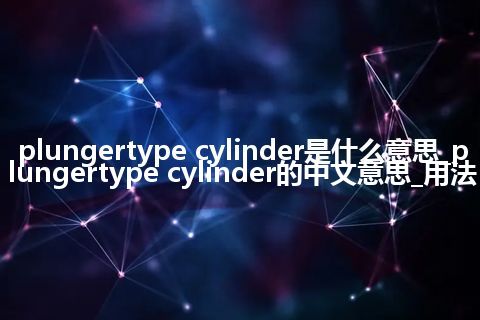plungertype cylinder是什么意思_plungertype cylinder的中文意思_用法