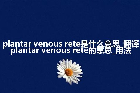 plantar venous rete是什么意思_翻译plantar venous rete的意思_用法